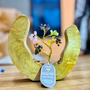 Jardin de Pierres – Bois de Manguier – Anneau Ouvert – 7 Chakras – 60 Pierres