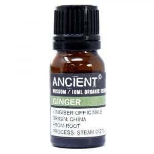 Huile Essentielle de Gingembre Bio – Zingiber Officinale – 10 ml