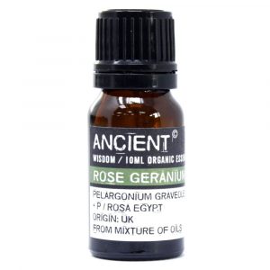 Huile Essentielle de Géranium Rosat Bio – Rose Geranium – 10 ml