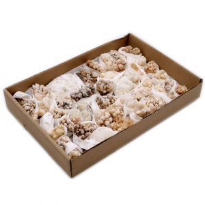 Spécimens minéraux de calcite fleur – environ 20 pièces