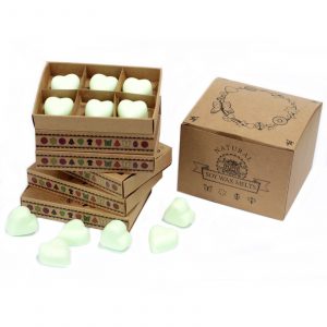 Coffret de fondants parfumés Menthe & Menthol – Cire de soja naturelle