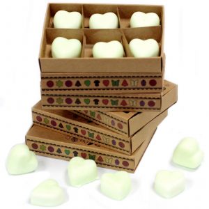 Coffret de fondants parfumés Pomme épicée – Cire de soja naturelle