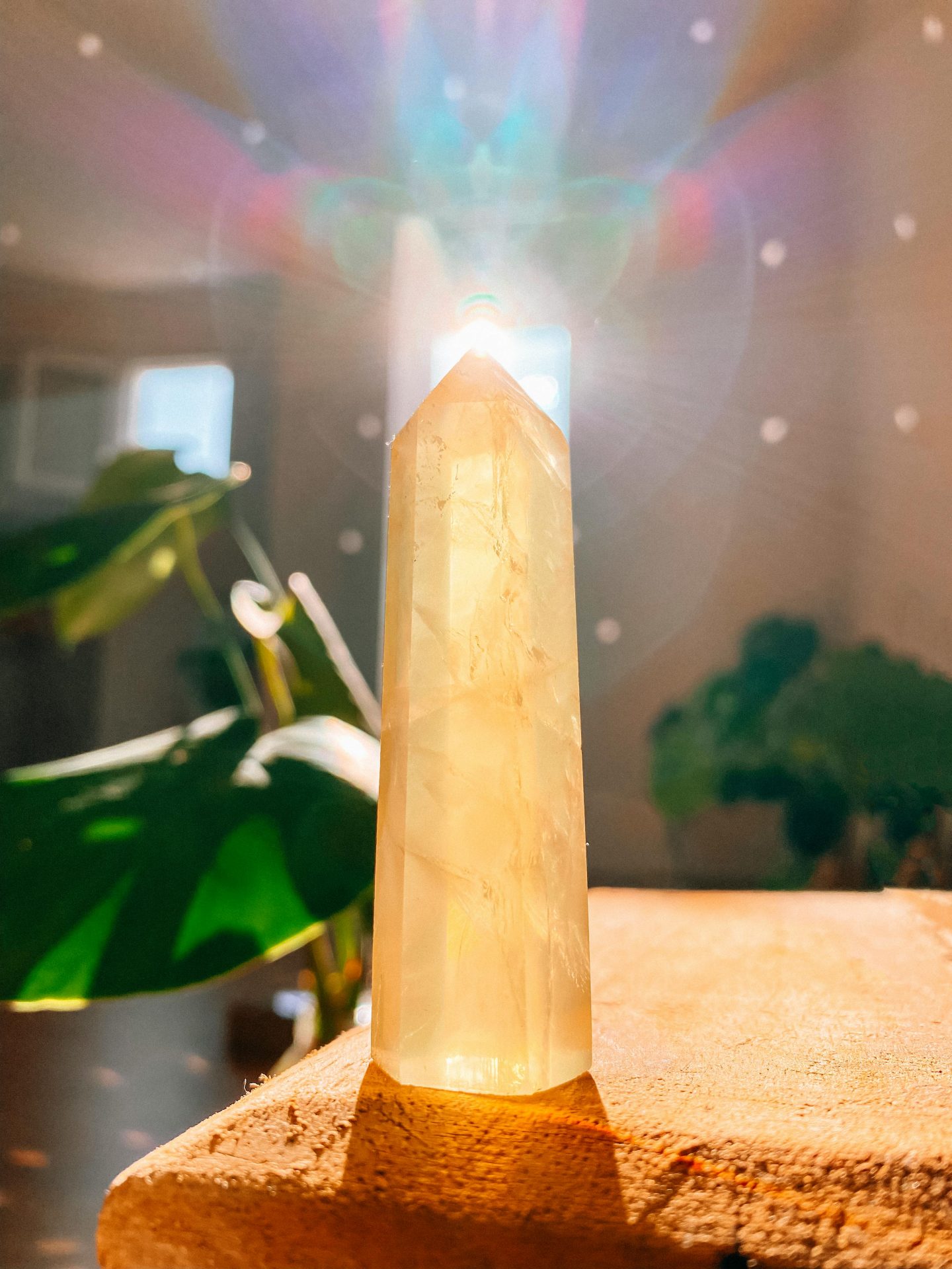 Citrine pierre de l'abondance et prospérité