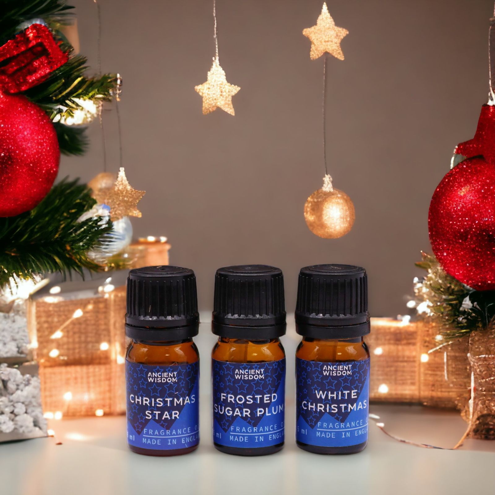Coffret de Parfums Délices Festifs — 12 Huiles Parfumées de Noël – Image 5