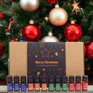 Coffret de 12 huiles parfumées Senteurs Sacrées de Noël avec flacons 5 ml et compte-gouttes